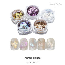 ネイルアート em nail studioコラボ商品　オーロラフレーク 全5種 セルフネイル ジェルネイル