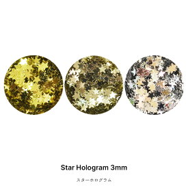 星型（スター）高品質ホログラム ネイル ジェル デコレーション ジェルネイル