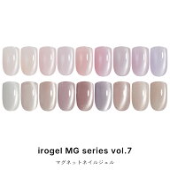 極微粒子3ミクロン 2ミクロン irogel MGシリーズ vol.7 マグネットネイル 全18色 約3g入り 透明感 クリア…