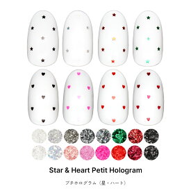 ネイルアート スター&ハートプチホログラム 全16種 約0.5g入り　ジェルネイル