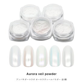 ネイルアート アンバサダーコラボ商品 オーロラヴェールパウダー 全5種 ジェルネイル