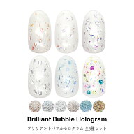 ネイルアート ブリリアントバブルホログラム 全6種セット ジェルネイル