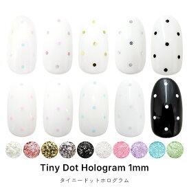 ネイルアート タイニードットホログラム パウチ入り 約1mm 全10色 ジェルネイル