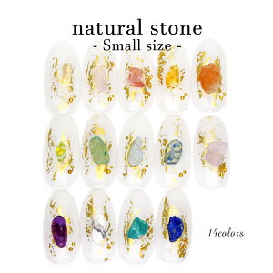 yzN[|zzz12/4i؁j19Jn lCp[c VRΕXg[p[c ߃TCY S14F 2g lC Xg[ WFlC  fRd 