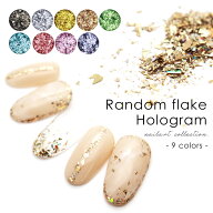 ネイルアート ランダムフレークホログラム 約1g 全9色 ジェルネイル