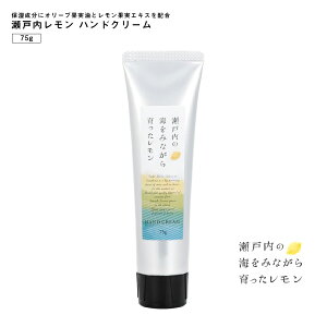 ˓ nhN[ 75g ZtlC Mtg ̓