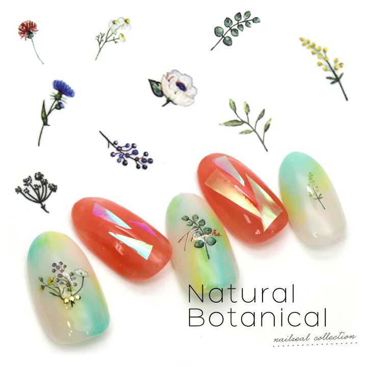 楽天市場 ネイルシール ナチュラルボタニカルシール Hanyi 367 おうち時間 ジェルネイル ネイルタウン nailtown 楽天市場 ネイルシール ナチュラルボタニカルシール Hanyi 367 おうち時間 ジェルネイル ネイルタウン nailtown