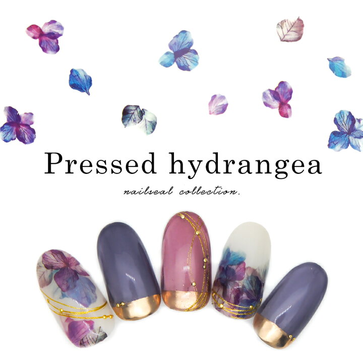楽天市場 ネイルシール プレスドハイドランジアシール ネイル デコレーション Hanyi 409 おうち時間 ジェルネイル ネイル タウン ｎａｉｌｔｏｗｎ