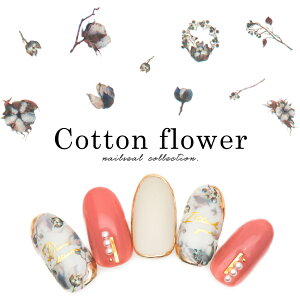 yzN[|zzz12/4i؁j19Jn lCV[ Rbgt[V[[MG200405-36] WFlC