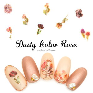 lCV[ _XeBJ[[YV[ lC fR[V [MG200401-01] ZtlC WFlC