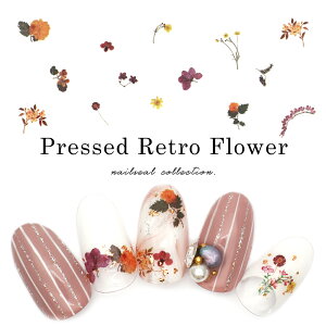 lCV[ vXhgt[V[ lC WF fR[V 946 ZtlC WFlC