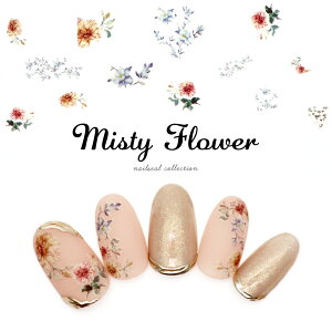 yzN[|zzz12/4i؁j19Jn lCV[ ~XeBJ[t[V[ [MG200331-31] WFlC