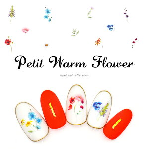 yzN[|zzz12/4i؁j19Jn lCV[ v`EH[t[V[ [HANYI515] WFlC