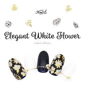 yzN[|zzz12/4i؁j19Jn lCV[ GKgzCgt[V[ S2 WFlC