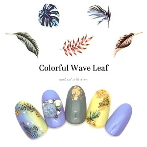 lCV[ JtEF[u[tV[ [F735] ZtlC WFlC