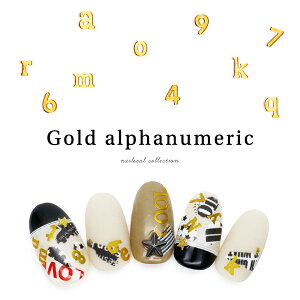 lCV[ S[hpV[ [WG719/Me099] S2 ZtlC WFlC