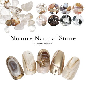 yzN[|zzz12/4i؁j19Jn lCA[g jAXVRΕXg[ S8 3g WFlC  fRd 