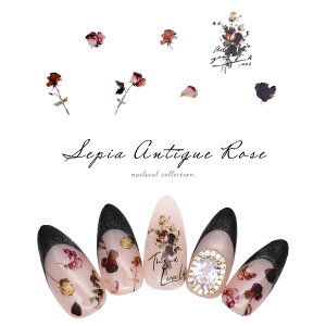 lCV[ ZsAAeB[N[YV[ [MS-C101]@ZtlC WFlC