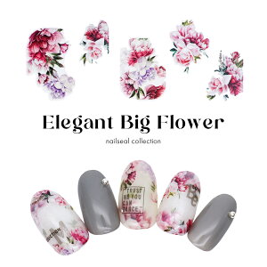 lCV[ GKgrbOt[V[ [HANYI-710] ZtlC WFlC