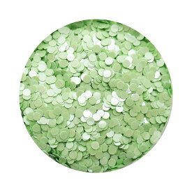 ネイルアート タイニードットホログラム パウチ入り 約1mm 全10色 ジェルネイル