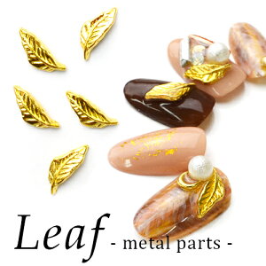 30OFFN[|zzIubNtCf[ [t t ^p[c S[h lCA[g T}[lC ͂ lC^p[c WF ZtlC WFlC 