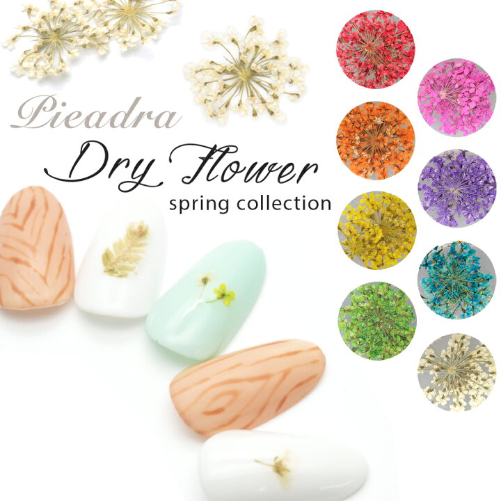 楽天市場 ドライフラワー Shareydva 旧 Pieadra 押し花ネイル 春ネイル 花柄 フラワー ジェルネイル レジン ネイルアート おうち時間 ジェルネイル ネイルタウン nailtown 楽天市場 ドライフラワー Shareydva 旧 Pieadra 押し花ネイル 春ネイル 花柄 フラワー ジェルネイル レジン ネイルアート おうち時間 ジェルネイル ネイルタウン nailtown