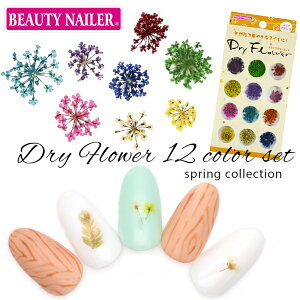 BEAUTY NAILER(r[eB[lC[) hCt[ 12FZbg RSifVR [DRF-3] ԃlC tlC ԕ t[ W lCA[g ZtlC lC WFlC