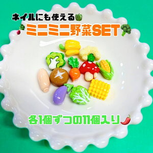 Ȗ11Zbg fRpjbN DECOPANICANZT[p[c nhCh `[ p[c fR[V J{V ؃~j`A@~j`A