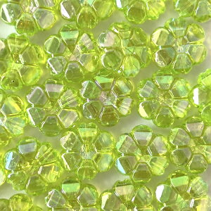  t[ I[H g r[Y L[z_[ lbNX p[c LbYANZT[ ANZT[ nhCh DIY fRp[eB