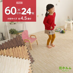 ؖڒWCg}bg 24Zbg(唻60cmjTChp[ct }bg Ԃ xr[ tA}bg vC}bg pY}bg g[Ή S̒zAfqh h ۉyFein-t