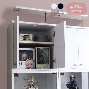 _}\聚ő10N[|^ RNVP[X yu^nC^Cvs19cmz 48.5cm palace pX RNVbN RNV{[h P[X KX I ^nC^Cv 