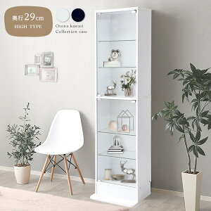 RNVP[X y{́^nC^CvE[^Es29cm 48.5cmzpalace pX RNVbN RNV{[h tBMA P[X I fBXvCbN KXI ^ 