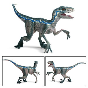    tBMA FLvg u[ x[^ Chvg   _Ci\[ Aȃf {iIȃtBMA PVC a NX}X