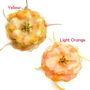 RT[W tH[} lC 傫߃TCY VbN i  Ht {[ t I[KW[RT[W wANbvt   w Ǝ  T Zj[ }