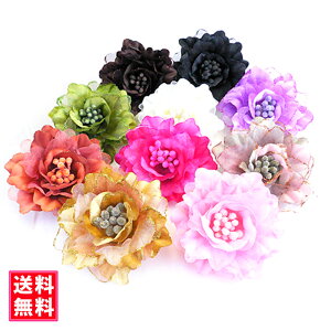 RT[W tH[} lC Y 24F t Ԃ  ^ꂵȂ wANbvt   w Ǝ  T Zj[ }}X[c e 