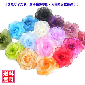 RT[W tH[} lC ŏTCY ԂTCY ɂ̓t I[KW[ JA RT[W   w Ǝ  T Zj[ }}X[c e 