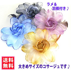 RT[W tH[} lC [XI[KW[xA hbV[ȑ傫߉HRT[W   w Ǝ  T Zj[ }}X[c e 