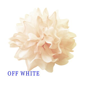 RT[W tH[} lC  Ԃ 唻TCY rbOTCY [^X {[ ӂRT[W iu[`swANbvtj   w Ǝ 