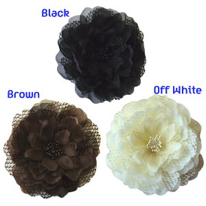 RT[W tH[} lC rbOTCY [XI[KW[d˂ tbgȂӂRT[W hbV[ȃRT[W iu[`swANbvtj   w