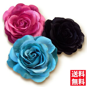 RT[W tH[} lC Vvȃ[Y RT[W ^ꂵɂRT[W Vo[S[hiu[`swANbvtj   w Ǝ  T Z