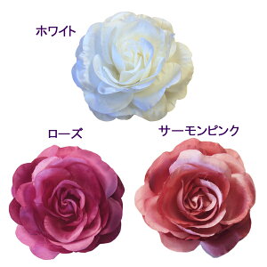 RT[W tH[} lC Vvȃ[Y RT[W ^ꂵɂRT[W Vo[S[hiu[`swANbvtj   w Ǝ  T Z