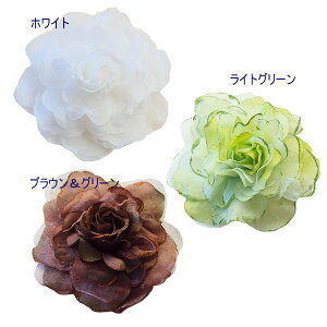 RT[W tH[} lC X[p[BIGTCY t I[hE[Y RT[W iu[`swANbvtj 傫 傫 傫 rbO   w Ǝ 