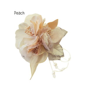 RT[W tH[} lC tH[} iȃRT[W C[r[Yp[r[YtgvRT[W 3t[ iu[`swANbvtj   