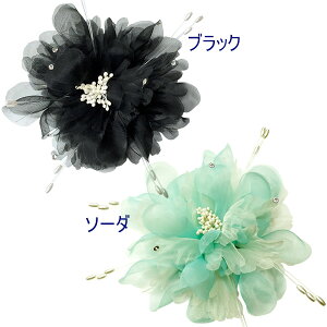 RT[W tH[} lC tH[} gih ӂ{[ERT[W iu[`swANbvtj ߁@傫@rbO@ł@  w 