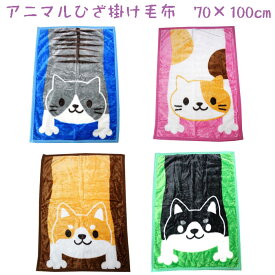 アニマル ひざ掛け ネコ イヌ 秋冬 防寒 膝掛け ヒザ掛け ニューマイヤー ひざかけ 70×100cm 猫 犬