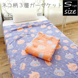 lR 3wK[[Pbg 100 140×190cm VOTCY 3dK[[ K[[LgPbg L ket t