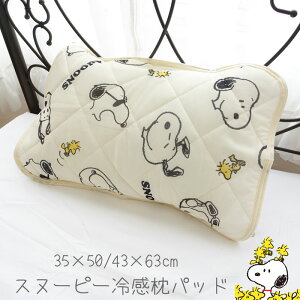i1jXk[s[ ⊴ pbh 35×50cm/43×63cmp Jo[ ܂Jo[ LN^[ q 킢 t