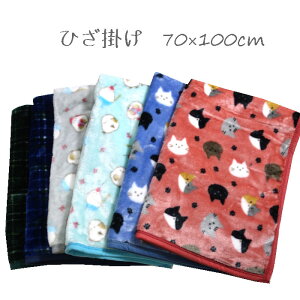 ˂/V}GiK/`FbN Ђ| 70×100cm H~ h G| qU| j[}C[ 킢 lR L 