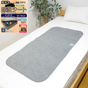 Y 􂦂 V[g ~jTCY 60×120cm ZT[t xr[zc  p }bg L hJr z O[