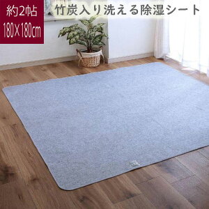 󂠂 |Y􂦂鏜V[g 2􃉃Op 180x180cm zZT[t LOTCY